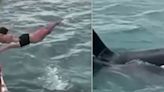 'Idiotic' Man Who Tried To 'Body Slam' Orca Gets Hit With Fine