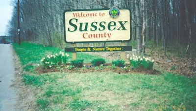 Wording on T-shirt leads to ejection at Sussex County commissioner meeting