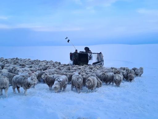 Frío extremo en la Argentina: lagunas congeladas, pobladores atrapados en la Patagonia y fuentes que se hicieron hielo en Buenos Aires