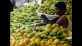 In a first, U.P. mangoes set to tickle taste buds in US