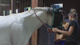 Deadly tornado hits Celina equestrian barn