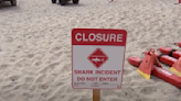 Suspected Great White Shark Attacks Swimmer in San Diego Over the Weekend