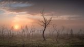 Landscape Photographer of the Year reveals how to convey impressions in just one shot