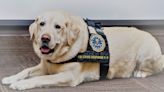 FBI gives award to Assistance Dogs of the West