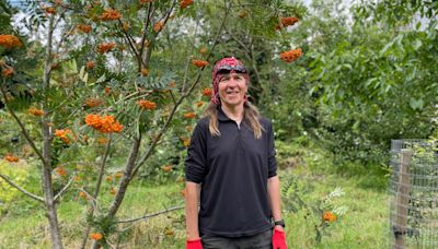 Charity creates 50 community orchards in city