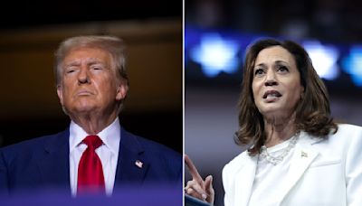 Los contrastes entre Harris y Trump se muestran plenamente en sus preparativos para el debate de la próxima semana