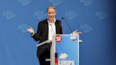 L'AfD et ses alliés forment un nouveau groupe d'extrême droite à Bruxelles, l'Europe des nations souveraines