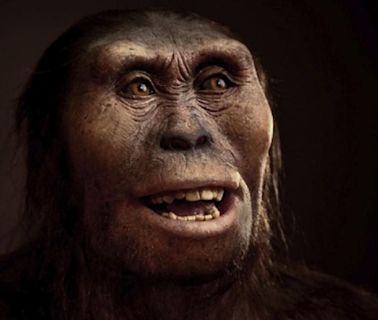 Este es el fósil más famoso del mundo: cambió la historia de la evolución humana - La Tercera