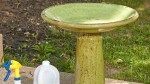 How to Clean a Bird Bath the Right Way