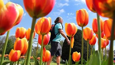 Cooler weather on tap with some sun peeking through Friday. Check out the weekend outlook here. - The Boston Globe