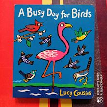 A busy day for birds - SpazioB**K