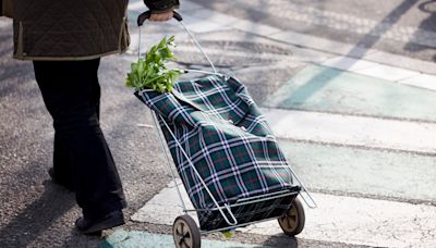 Struggling home uphill, I’ve been left with one humiliating option – the shopping trolley