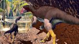 New dog-sized dinosaur species that lived underground discovered