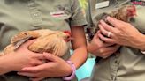 'Good cluck!' Fern and Daisy, Butterfly Wonderland's loveable chickens, get retirement party