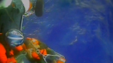 Video shows Coast Guard rescuing Canadians from capsized boat