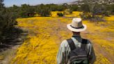 US Mexico Border Biodiversity