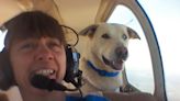 This Pilot Has Flown Some 100,000 Miles to Save Shelter Pets