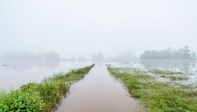 Saar-Bauern leiden unter Hochwasserschäden