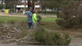 Walmart’s landscape alterations draw public attention