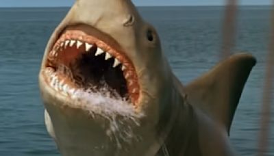 After Watching All 4 Jaws Movies, Here's The Best And Worst Thing About Each Sequel