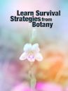 Learn Survival Strategies from Botany