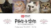 2024 iHeartRADIO Paws-A-Thon for Humane Society of Richland County | Fox Sports 1340 WNCO