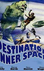 Destination Inner Space