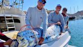 Anglers discover rare oarfish under attack by sharks off Cabo