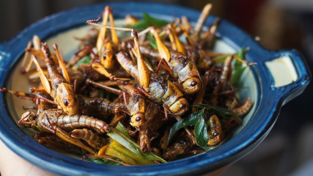 Locusts in your noodles? Singapore approves 16 insect species as food