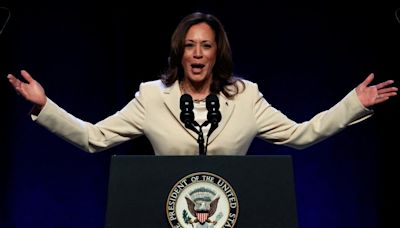 Opinion: Kamala Harris’ Last Campaign Was a Total Meltdown: ‘No Plan to Win’