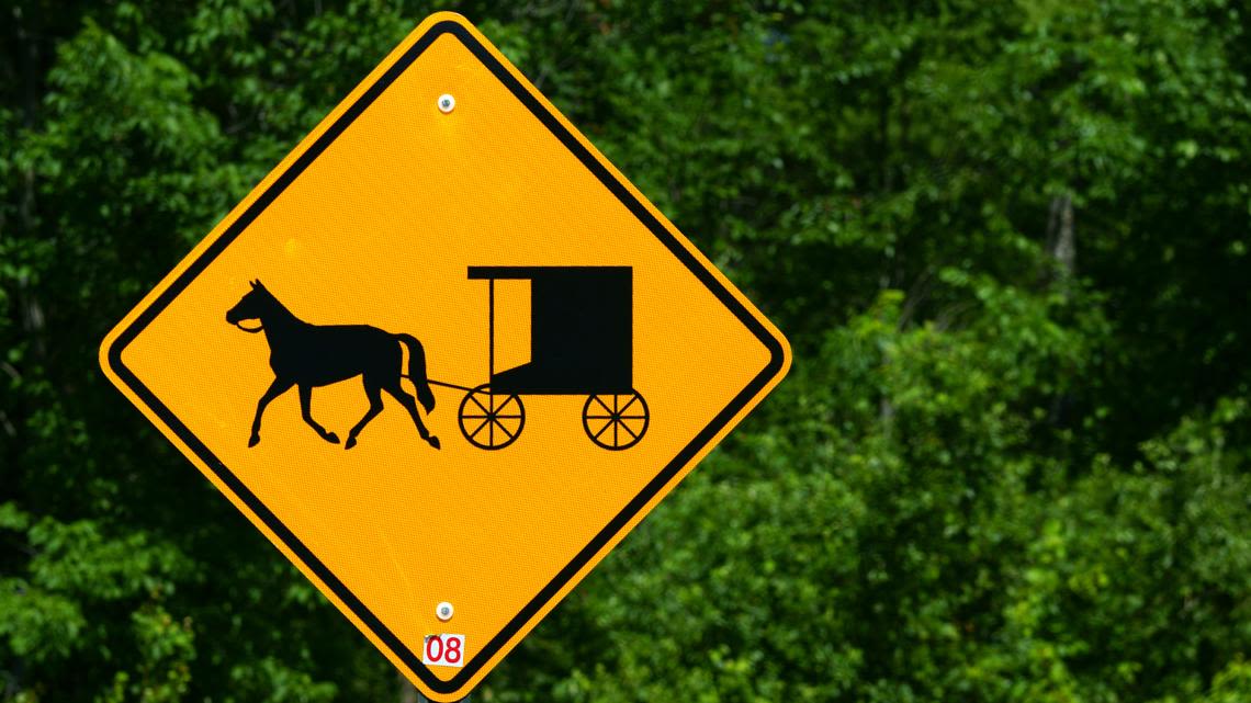 Ohio State Highway Patrol: Amish buggy crash kills Polk man in Ashland County