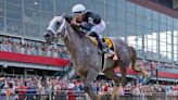 Seize the Grey wins Preakness Stakes; Mystik Dan second