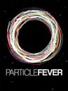 Particle Fever