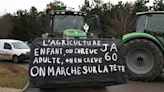 Woman sitting on haystack killed after car hits protesting French farmers' roadblock