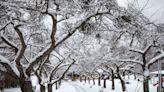 Weather warnings cover much of B.C. as bitter cold settles in and snow starts to fall