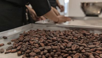 Precios del cacao ‘en picada’: ¿Cómo impactarán a los costos del chocolate?