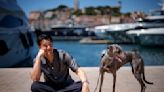 The real stars of Cannes may be the dogs