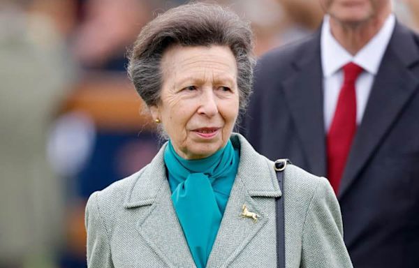 Princess Anne warned against 'setting precedent for future royal health updates'