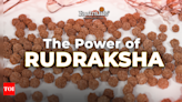 The power of Rudraksha: 7 eye-opening facts you must know - Times of India