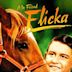 Flicka