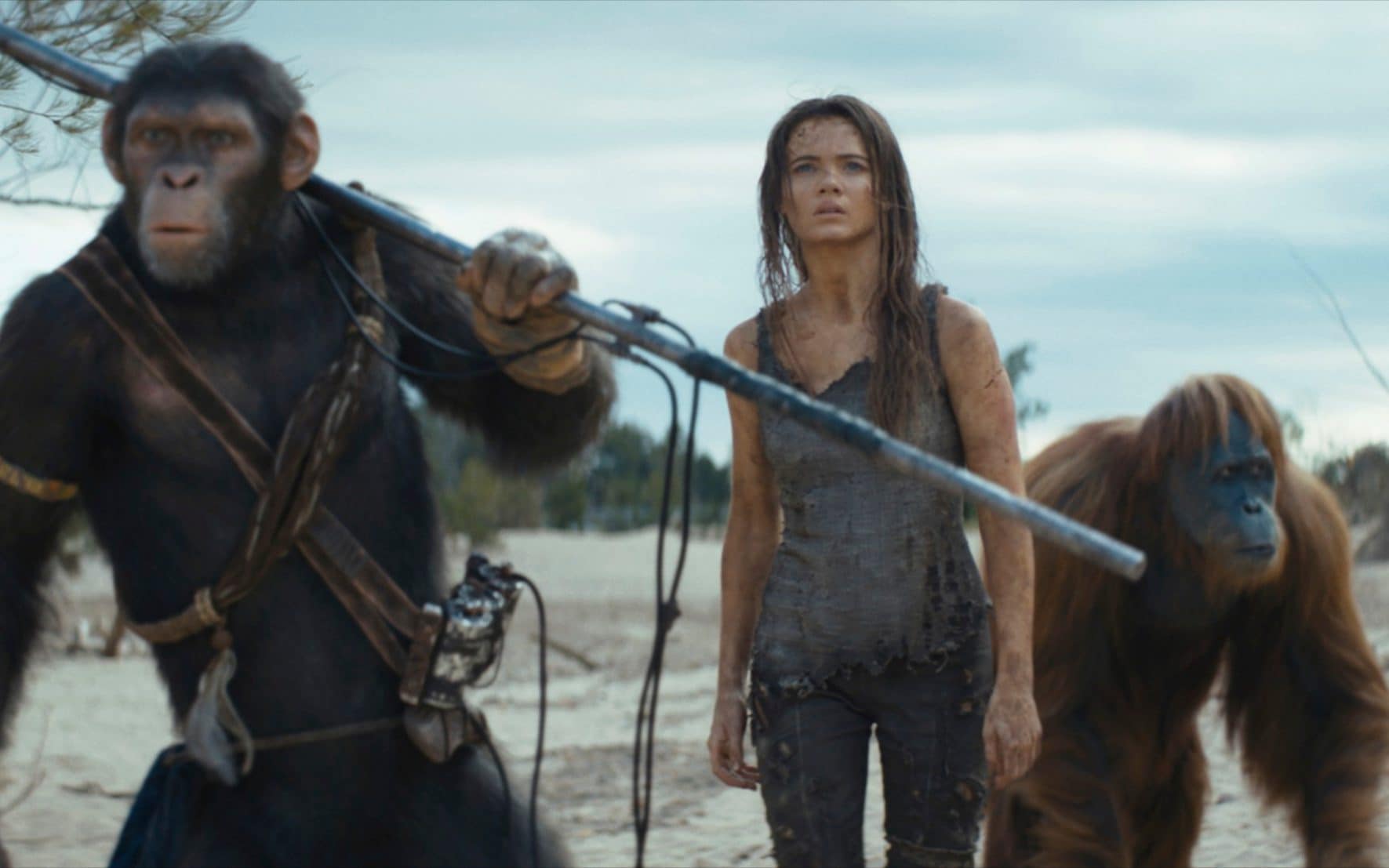 Kingdom of the Planet of the Apes: This handsome blockbuster harks back to the days of the Hollywood Western