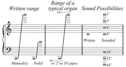 Organ (music)