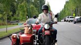 Meet Buddy, the golden retriever on wheels who has become a Gig Harbor celebrity