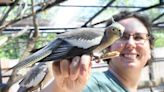 For the birds: Alexandria Zoo exhibit lets you see, touch, feed parrots and parakeets