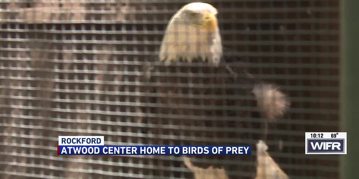 Atwood Center in Rockford educates community on birds of prey