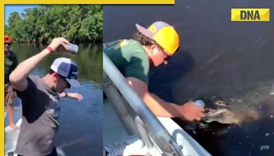 Man uses alligator to open beer can in viral video, internet is shocked