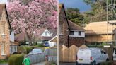 One of Britain’s tallest magnolia trees felled over health and safety fears