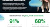 Cutting Cloud Costs by 22%: The Secret Strategy of Mature Multi-Cloud Companies Revealed in New Report from Infoblox