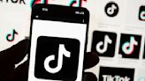 TikTok sues US over law to ban platform without sale