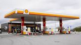 Shell takes billion dollar hit as it pauses building of biofuels plant